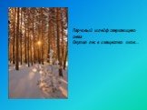 Парчовый шлейф сверкающего снега Окутал лес в изящество оков…