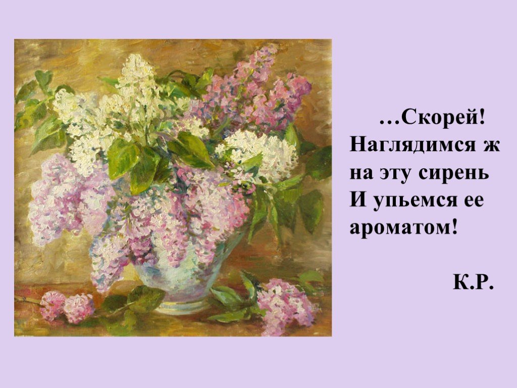 Сочинение сирень кустодиева. Эпиграф про сирень. Петр Кончаловский сирень 4 класс. Художественное описание сирени. Эпиграф к сочинению о сирени.