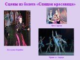 Сцены из балета «Спящая красавица». Колдунья Карабос Принц и Аврора Фея Сирени