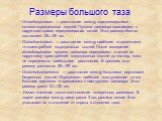 Размеры большого таза. Distantiaspinarum — расстояние между передневерхними остями подвздошных костей. Пуговки тазомера прижимают к наружным краям передневерхних остей. Этот размер обычно составляет 25—26 см. Distantiacristarum — расстояние между наиболее отдаленными точками гребней подвздошных кост