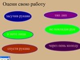 Русская фразеология и ее особенности Слайд: 16