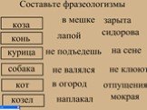 Русская фразеология и ее особенности Слайд: 4