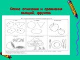 Схема описания и сравнения овощей, фруктов