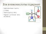 Все аминокислоты содержат: Карбоксильную группу (-COOH) Аминогруппу (-NH2) Радикал (остальная часть молекулы)