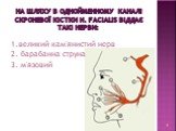 На шляху в однойменному каналі скроневої кістки n. Facialis віддає такі нерви: 1.великий кам'янистий нерв 2. барабанна струна 3. м'язовий
