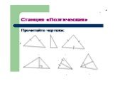 Обобщение и систематизация сведений о треугольниках Слайд: 8