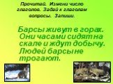 Прочитай. Измени число глаголов. Задай к глаголам вопросы. Запиши. Барсы живут в горах. Они часами сидят на скале и ждут добычу. Людей барсы не трогают.