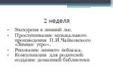 2 неделя. Экскурсия в зимний лес. Прослушивание музыкального произведения П.И.Чайковского «Зимнее утро». Рисование зимнего пейзажа. Консультация для родителей: создание домашней библиотеки