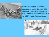 Всего же ездовые собаки вывезли с поля боя 680 000 раненых солдат и офицеров и доставили на линию фрон - та 5862 тонны боеприпасов.