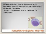 ПЛАЗМАТИЧЕСКИЕ КЛЕТКИ. Плазматические клетки (плазмоциты) — основные клетки, продуцирующие антитела в организме человека Являются конечным этапом развития B-лимфоцита