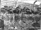 Седьмого апреля 1945 года “Киндерхайм” - со всеми детьми-заключёнными - должны были уничтожить, но этому помешало восстание, поднятое в соседнем “взрослом” лагере советскими и польскими военнопленными. Которые гибли десятками, с голыми руками кидаясь на вооружённую охрану.