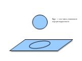 Круг — это часть плоскости внутри окружности