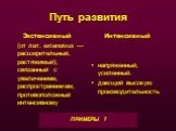 Путь развития. Экстенсивный (от лат. extensivus — расширительный, растяжимый), связанный с увеличением, распространением; противоположный интенсивному. Интенсивный напряженный, усиленный. дающий высокую производительность. ПРИМЕРЫ ?