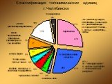 Классификация топонимических единиц г.Челябинска
