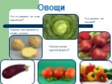 Овощи. Что ты видишь на этих картинках? Назови все предметы одним словом. Что делают из овощей? Назови овощи круглой формы?