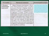 Подготовка к написанию сочинения Слайд: 14