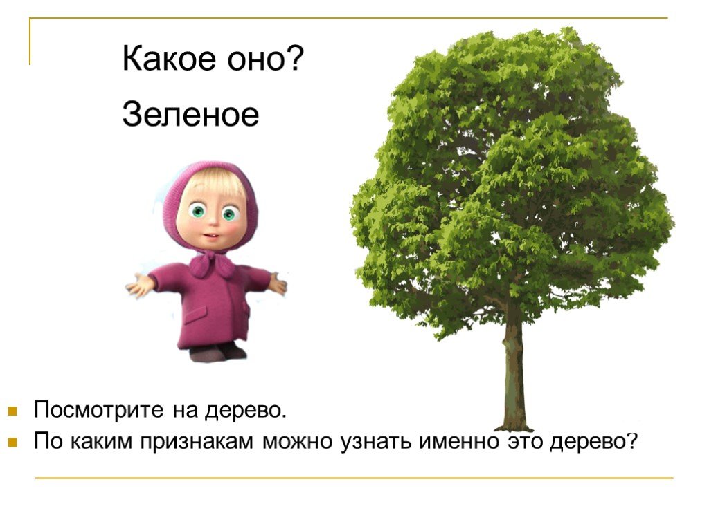 Оно зеленое. Сравнение к слову дерево. Дерево смотрит. Слово признак дерево. Какое дерево ты любишь.