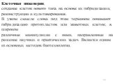 Клеточная инженерия, создание клеток нового типа на основе их гибридизации, реконструкции и культивирования. В узком смысле слова под этим термином понимают гибридизацию протопластов или животных клеток, в широком различные манипуляции с ними, направленные на решение научных и практических задач. Яв