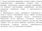 4. Путем клеточной инженерии созданы новые штаммы микроорганизмов, повышающие усвоение азота и фосфора, подавляющие развитие вредной микрофлоры, что позволяет конструировать микробоценоз, достигая повышения плодородия почвы и продуктивности растения. 5. Принципиально новые возможности открываются в 