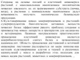 Создание на основе генной и клеточной инженерии растений с максимальным накоплением поллютантов позволит извлекать их из загрязненного субстрата (почва, вода), а растения с минимальным накоплением дадут возможность получать экологически безопасную продукцию. 6.Культивирование новых микроорганизмов и