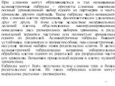 При слиянии могут образовываться и так называемые асимметричные гибриды – продукты слияния, имеющие полный хромосомный набор одного из партнеров и часть хромосом другого партнера. Такие гибриды часто возникают при слиянии клеток организмов, филогенетически удаленных друг от друга. В этом случае всле