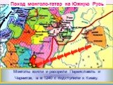 В 1239 г. Батый собрав огромное войско двинулся на южные русские княжества. Монголы взяли и разорили Переяславль и Чернигов, а в 1240 г. подступили к Киеву. Поход монголо-татар на Южную Русь