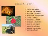 Сколько Н? Почему? связа…ый шарф посаже..ое дерево поджаре…ая рыба позолоче..ый браслет скоше…ый луг выкраше…ый пол выраще…ыйцветок испече…ый пирог распиле…ый брус написа..ое письмо испуга…ый кот