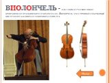 ВИОЛОНЧЕЛЬ - как слово в русском языке произошло от итальянского «violoncello». Виолончель это струнный смычковый инструмент басового и тенорового регистра.