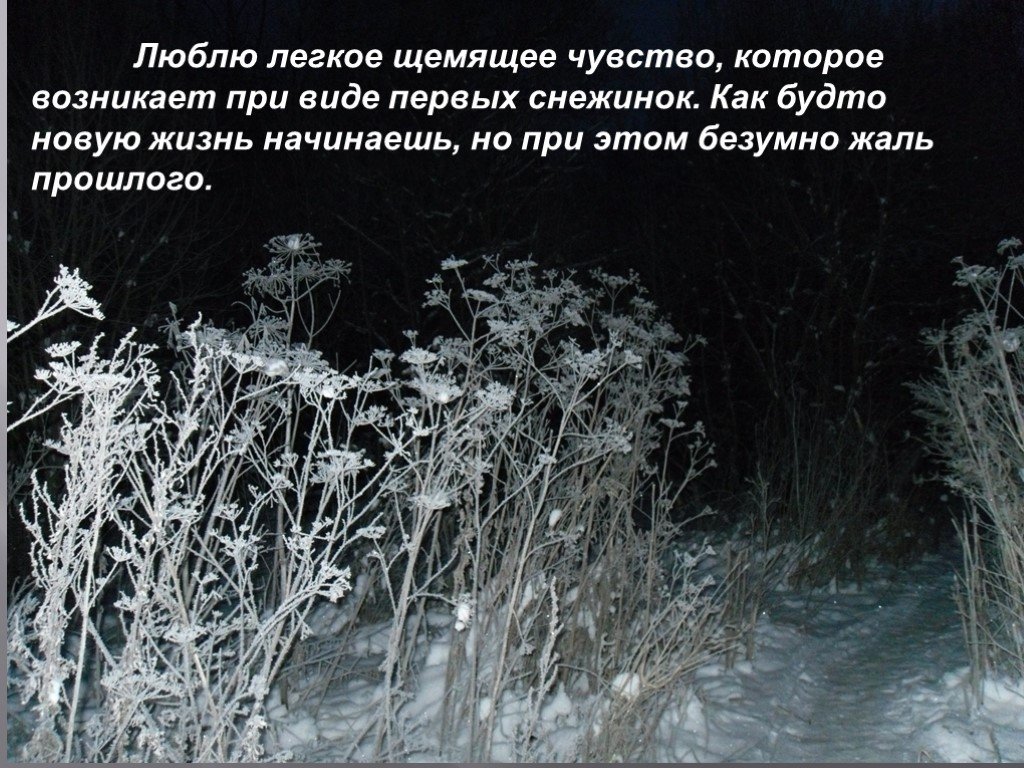 Щемящее чувство. Зимы ждала ждала природа. Ждала природа снег выпал только в январе. Как жаль что нет у прошлого дверей.