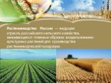 Растениеводство России — ведущая отрасль российского сельского хозяйства, занимающаяся главным образом возделыванием культурных растений для производства растениеводческой продукции.
