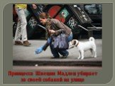 Принцесса Швеции Мадлен убирает за своей собакой на улице