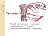 Перегиб артерий и вен => нарушение кровообращения => некроз=> асептическое воспаление => перитонит
