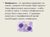 Лимфоциты – по величине разделяют на малые, средние и большие. Ядро круглое темно-фиолетовое; цитоплазма – слабо-голубого цвета. У малых лимфоцитов ее может быть очень мало. У здоровых животных в периферической крови преобладают малые лимфоциты.