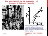 The pilot facility for the production of biomass of hydrogen bacteria. Biomass yield of the culture in the Pilot Production Facility vs. flow rate of the medium with the bioreactor containing different amounts of the culture: I- I200 L, 2- 1600 L, 3- 1800 L, Krasnoyarsk, IBPh RAS SD, 1976.