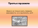 Третье правило. Важно не только знать правила вежливости, но и выполнять их!!!