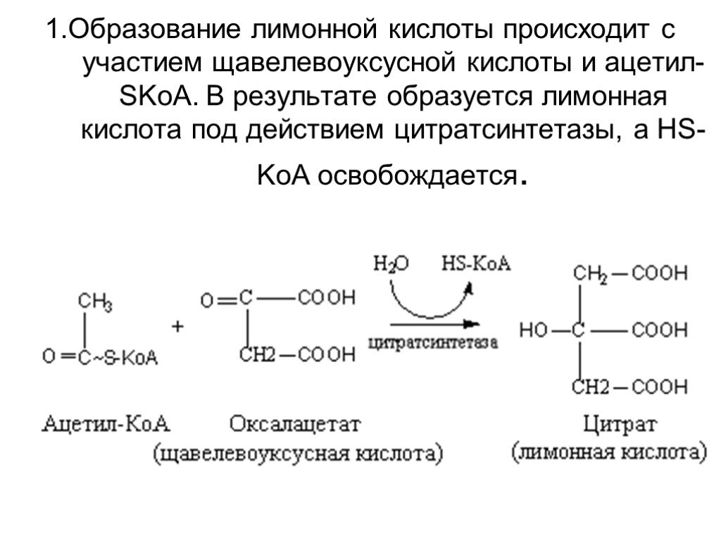 Реакции обмена уксусной кислоты. Синтез щавелевоуксусной кислоты. Образование лимонной кислоты из ацетил КОА. Лимонная кислота формула Синтез. Схема синтеза лимонной кислоты.
