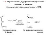 2.1. образование 1,3-дифосфоглицериновой кислоты с участием глицеральдегиддигидрогеназы и НАД. D-глицеральдегид- 1,3-дифосфоглицериновая 3-фосфат кислота