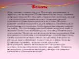 Волосы. Итак, начнем с самого начала. Посмотри внимательно в зеркало, что ты видишь? Правильные черты лица - явление довольно редкое. И с этим всем приходится мириться, но кое - что подкорректировать можно с помощью удачной прически и правильным уходом за волосами. Волосы – предмет особой гордости к