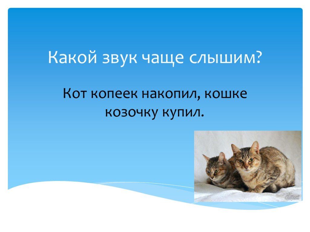 Звук чаще. Кот копеек накопил кошке козочку. Кот копеек накопил стихотворение. Картинка кот копеек накопил кошке козочку купил. Ча какой звук.