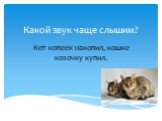 Кот копеек накопил, кошке козочку купил.