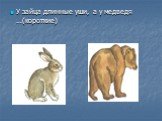 У зайца длинные уши, а у медведя …(короткие)