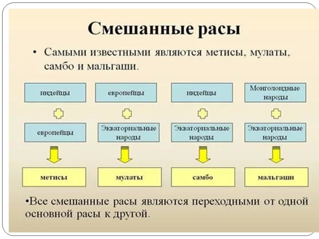 Человеческие расы схема