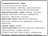 4. Северокавказская семья: а) нахско-дагестанская группа: нахская подгруппа (чеченцы, чечены-акнинцы Дагестана, ингуши) дагестанская подгруппа: аваро-андо-цезская ветвь (аварцы, андийцы, ахварцы, багулалы, ботлихцы, годоберинцы, чамалалы, каратинцы, тиндалы) даргинская ветвь (кубачинцы, кайтагцы, ак