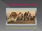 История появления сыра. Кочевые племена бедуинов в длительных поисках новых пастбищ