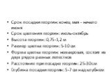 Срок посадки георгин: конец мая - начало июня Срок цветения георгин: июль-октябрь Высота георгин: 0,75-1,2 м Размер цветка георгин: 5-10 см Форма цветка георгин: немахровая, состоит из двух рядов разных лепестков Расстояние при посадке георгин: 25-30 см Глубина посадки георгин: 5-7 см над клубнем