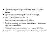 Срок посадки георгин: конец мая - начало июня Срок цветения георгин: июль-октябрь Высота георгин: 0,7-1,2 м Размер цветка георгин: 5-20 см Форма цветка георгин: напоминает водяную лилию - нимфею Расстояние при посадке георгин: 25-30 см Глубина посадки георгин: 5-7 см над клубнем