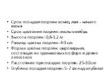 Срок посадки георгин: конец мая - начало июня Срок цветения георгин: июль-октябрь Высота георгин: 0,8-1,2 м Размер цветка георгин: 4-9 см Форма цветка георгин: шаровидная, состоящая из одинаковых по форе и длине лепестков Расстояние при посадке георгин: 25-30 см Глубина посадки георгин: 5-7 см над к