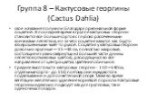 Группа 8 – Кактусовые георгины (Cactus Dahlia). свое название получили благодаря оригинальной форме соцветий. В последнее время в группе кактусовых георгин становится все больше сортов с глубоко рассеченными кончиками лепестков, из-за чего соцветия кажутся как будто взъерошенными чьей-то рукой. Соцв