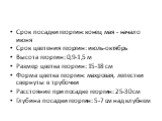 Срок посадки георгин: конец мая - начало июня Срок цветения георгин: июль-октябрь Высота георгин: 0,9-1,5 м Размер цветка георгин: 15-18 см Форма цветка георгин: махровая, лепестки свернуты в трубочки Расстояние при посадке георгин: 25-30 см Глубина посадки георгин: 5-7 см над клубнем