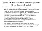 Группа 9 – Полукактусовые георгины (Semi-Cactus Dahlia). имеют хоть и похожую, но все же отличную от кактусовых георгин форму цветка. У полукактусовых георгин лепестки (язычковые цветки) более широкие у основания и свернуты в трубочку только на половину (или менее) длины, как правило прямые и расход